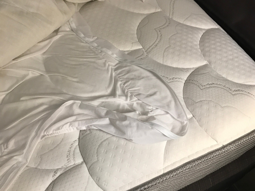 Country Inn & Suites by Radisson, Tuscaloosa, AL主图