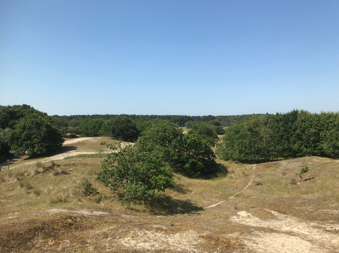 Boswachterij Westerschouwen景点图片