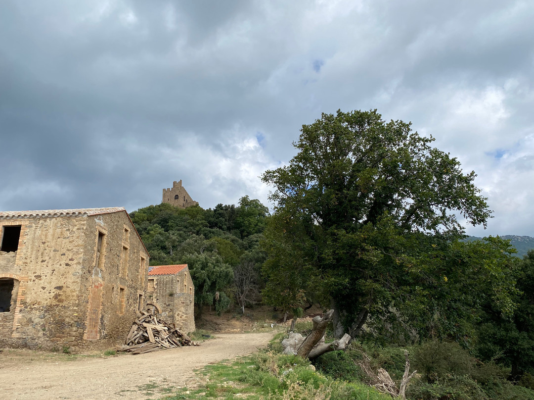 Castell de Requesens景点图片