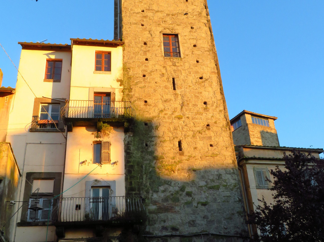 Torre del Borgognone-维泰博必去景点