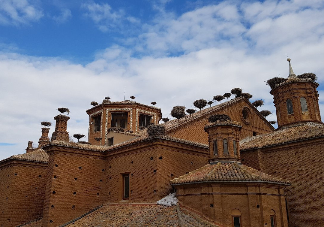 Mirador de las Ciguenas-Alfaro必去景点