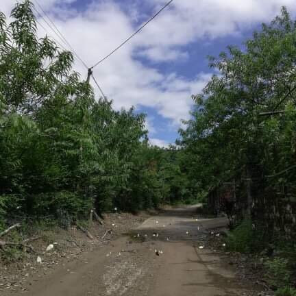Butterfly Valley-卡巴必去景点