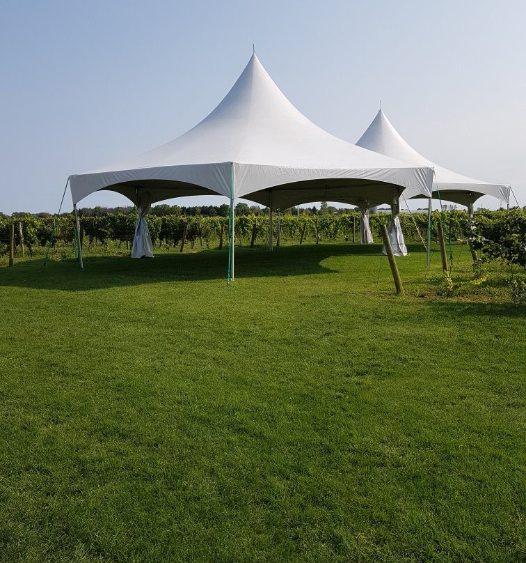 Mastronardi Estate Winery-Kingsville必去景点