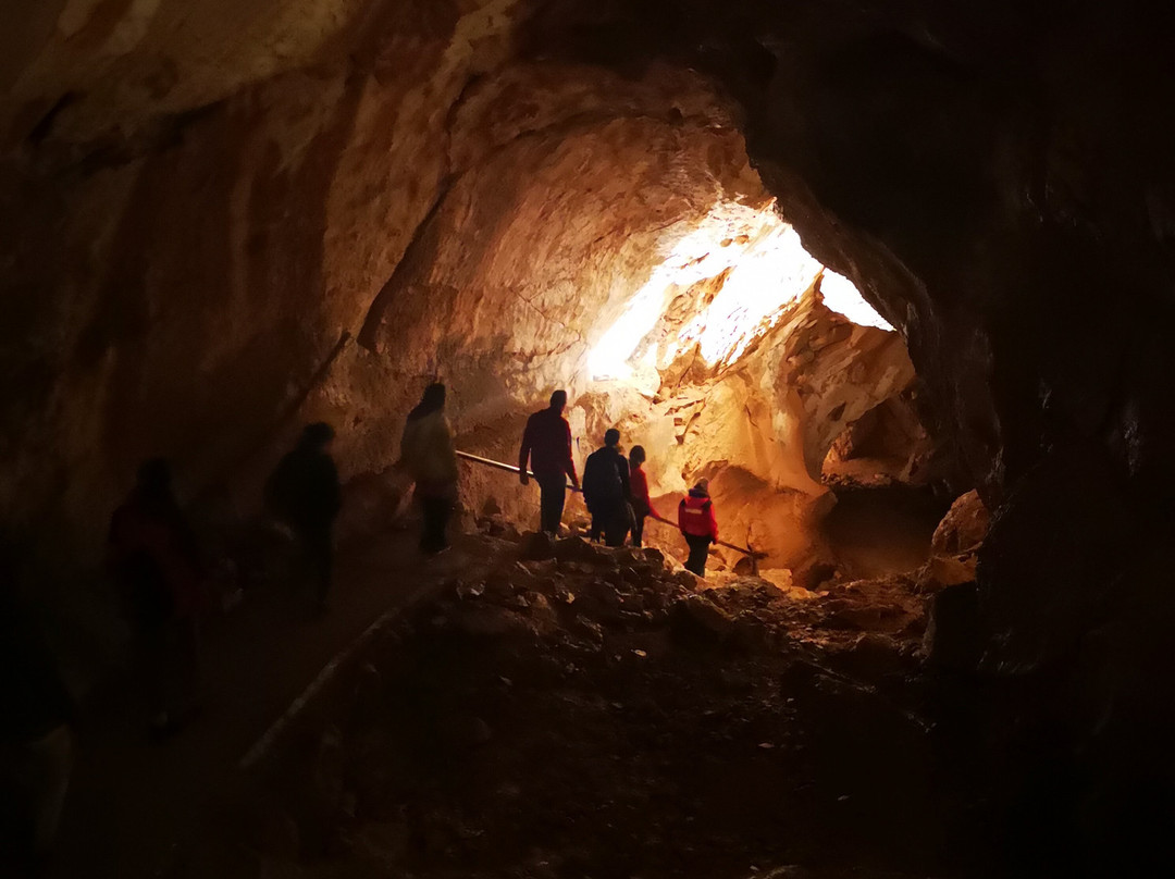 Mammoth Cave-上特劳恩必去景点