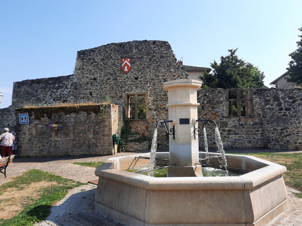 Village de Ternand景点图片