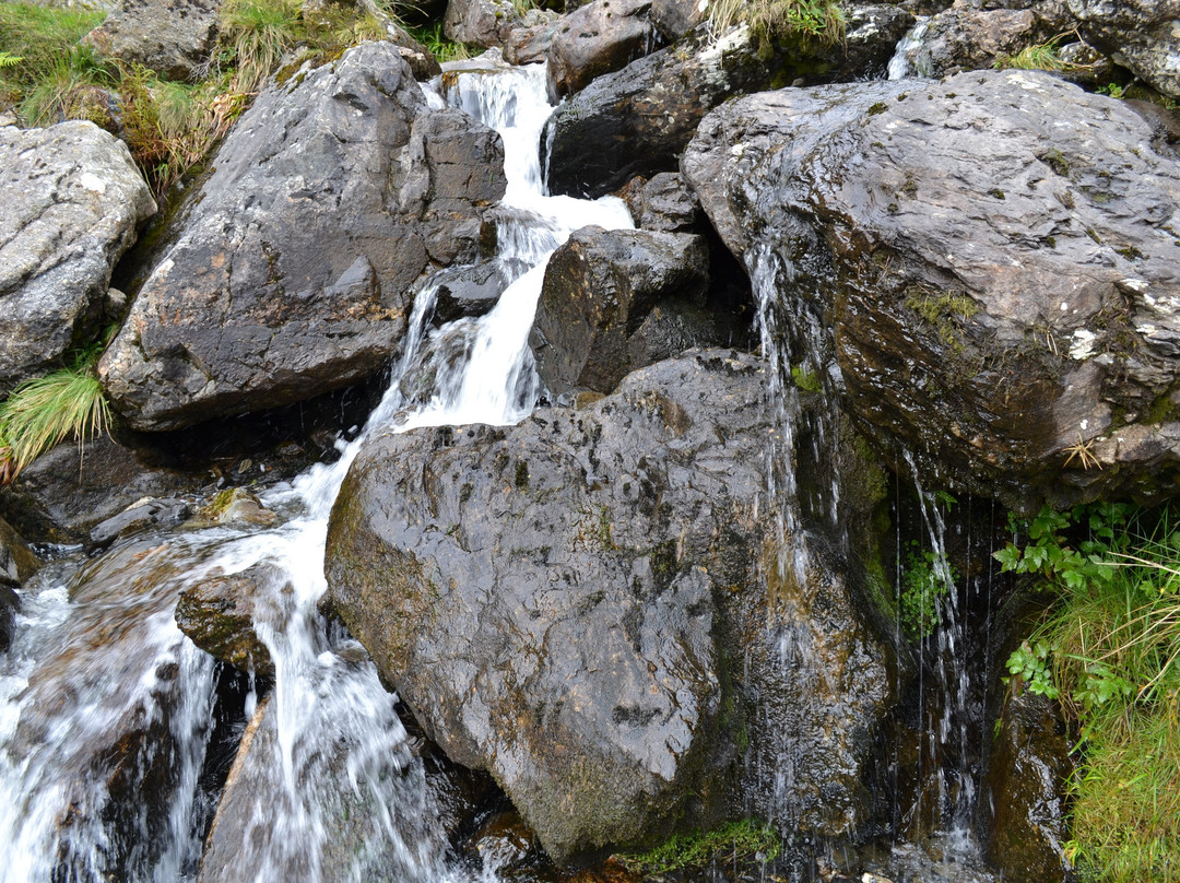 Bryn Sion Farm主图