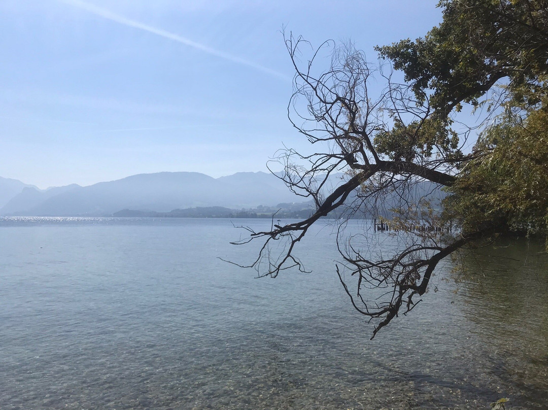 Esplanade am Traunsee景点图片