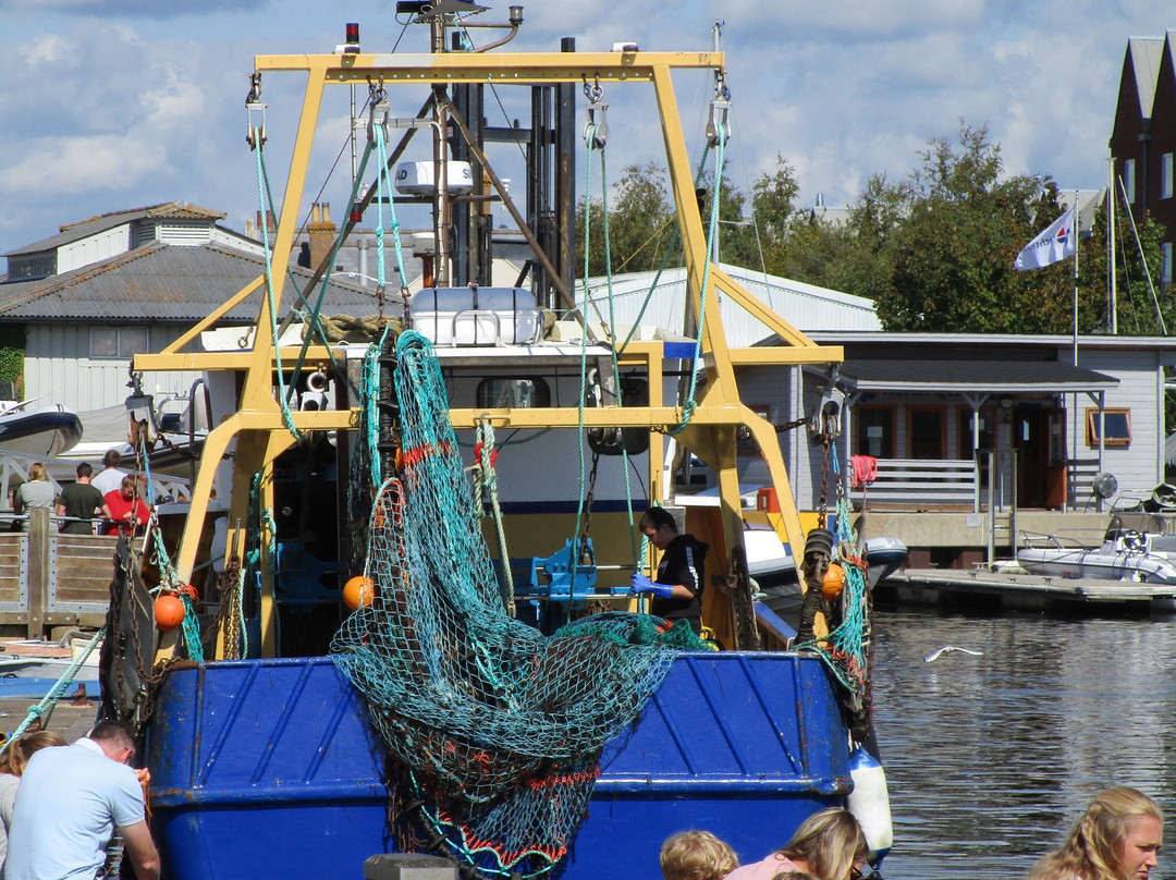 Berthon Lymington Marina-利明顿必去景点