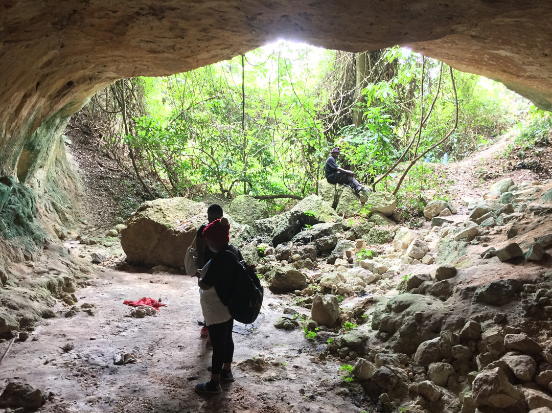Pugu Hills Eco Cultural Tourism景点图片