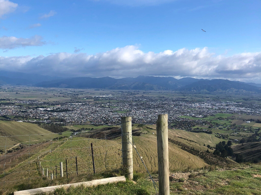 Wither Hills Mountainbike Park景点图片