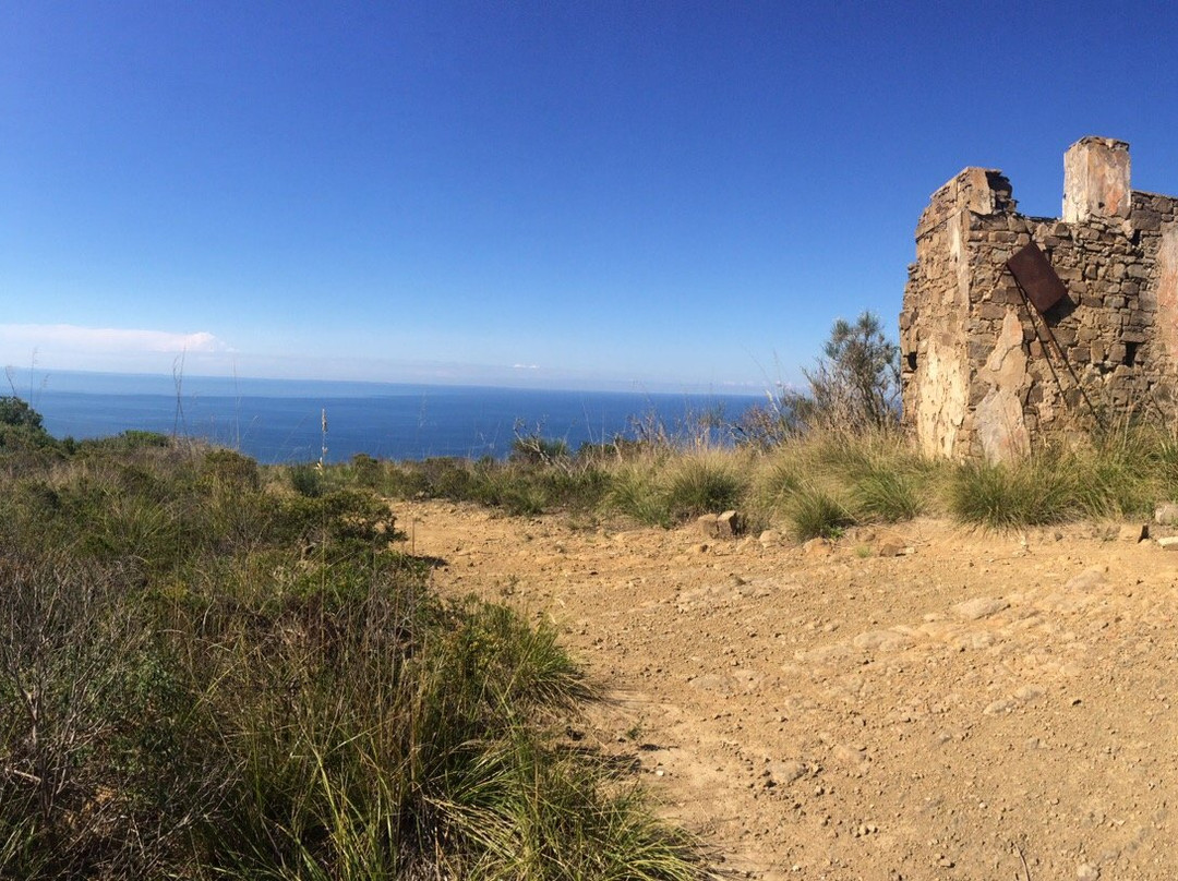 Torri Costiere di Castellabate景点图片