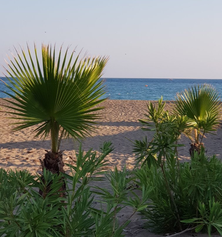 Hamam on the Beach景点图片