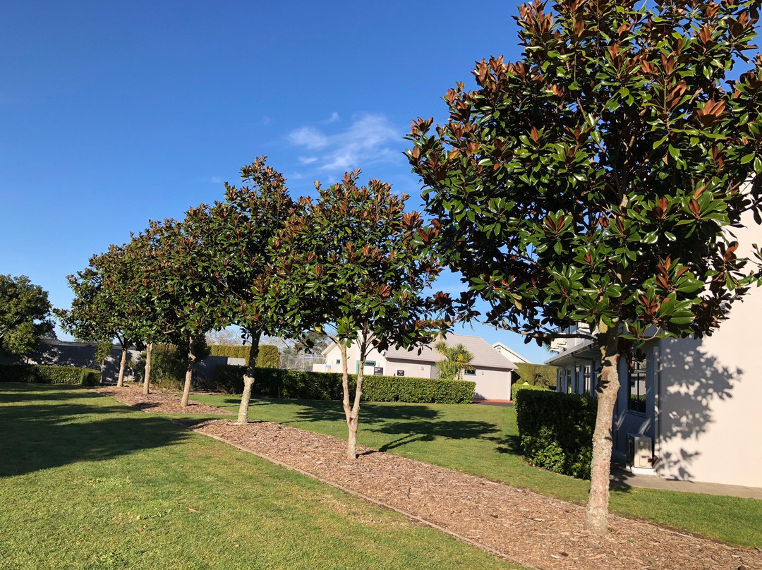 Jetpark Hotel Hamilton Airport主图