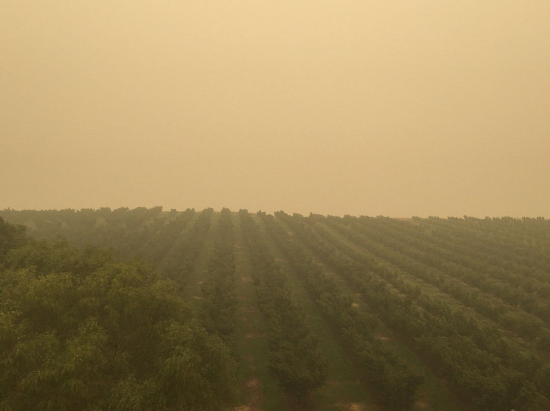 Maryhill Winery-Goldendale必去景点