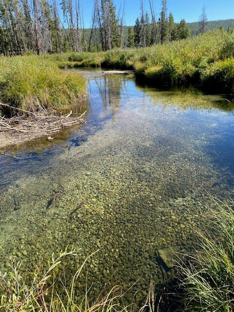 Redfish Lake Lodge主图