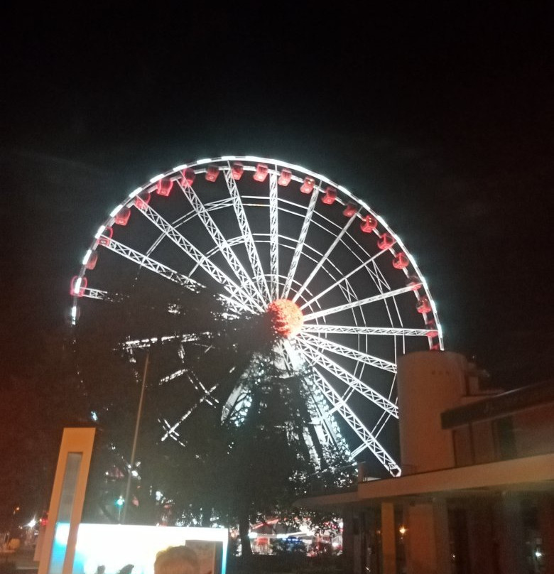 The Wheel of Venice-耶索洛必去景点