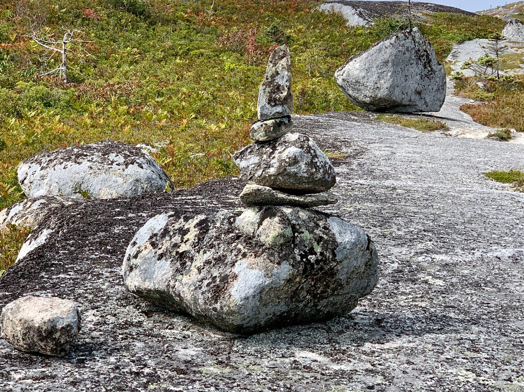 Polly's Cove Hiking Trail景点图片