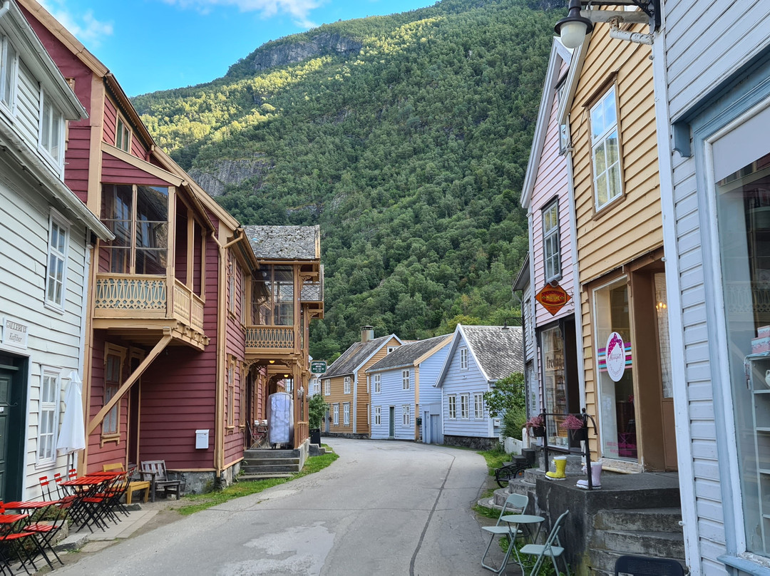 Gamle Laerdalsoeyri-Laerdalsoyri必去景点