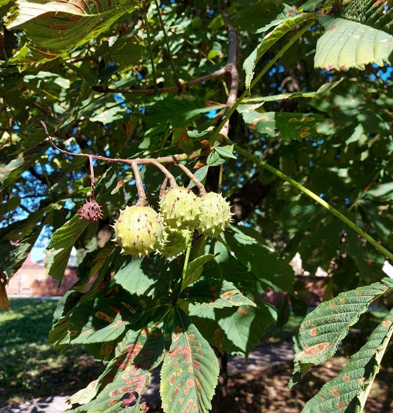 Villa Vertua Masolo-诺瓦米拉内塞必去景点