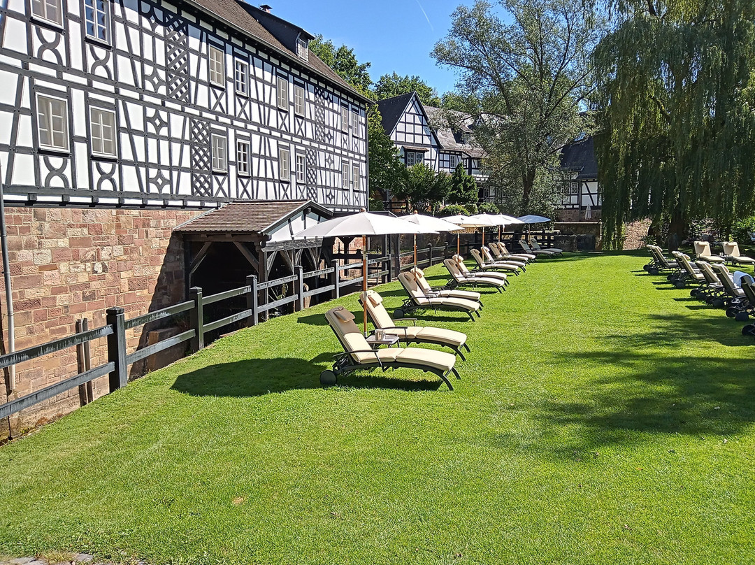 Neumühle Resort & Spa主图