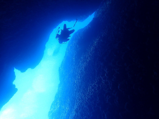 Divection Dalış Eğitim Merkezi-卡斯必去景点