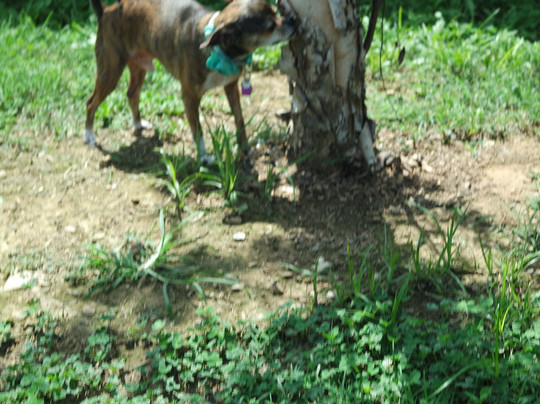 La Quinta Inn & Suites by Wyndham Chattanooga - Lookout Mtn主图