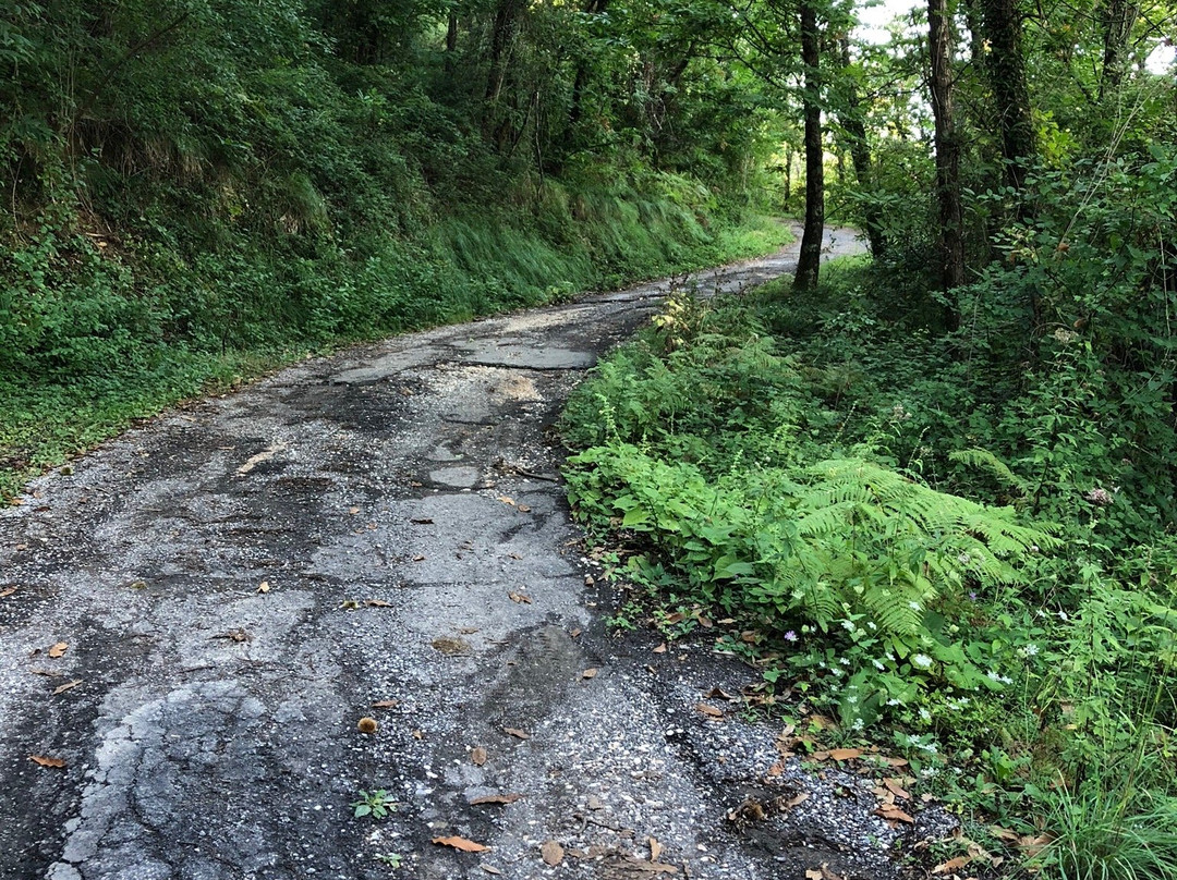 Santuario di Nostra Signora dell'Agostina-Valdipino必去景点