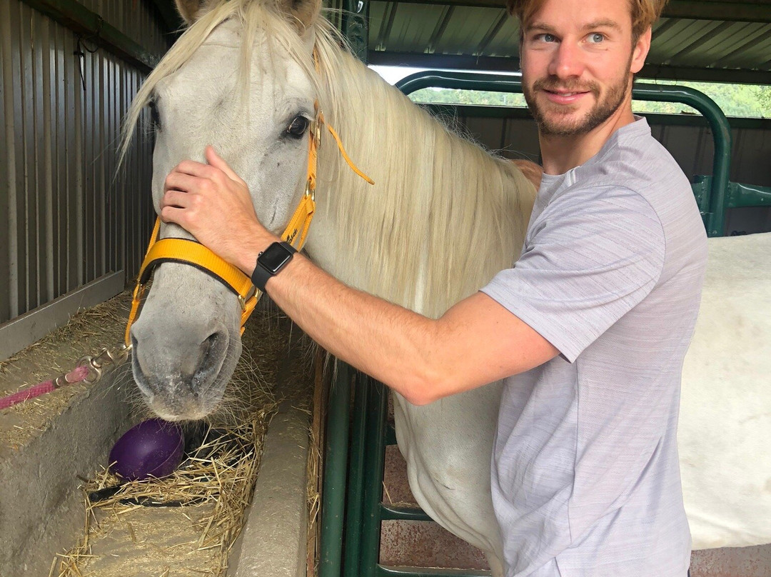 Horse Riding in Madrid - Guadarrama景点图片