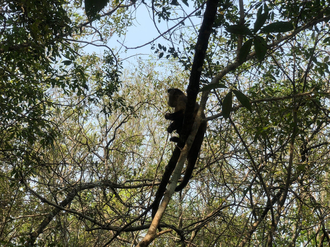 Bosque das Águas景点图片