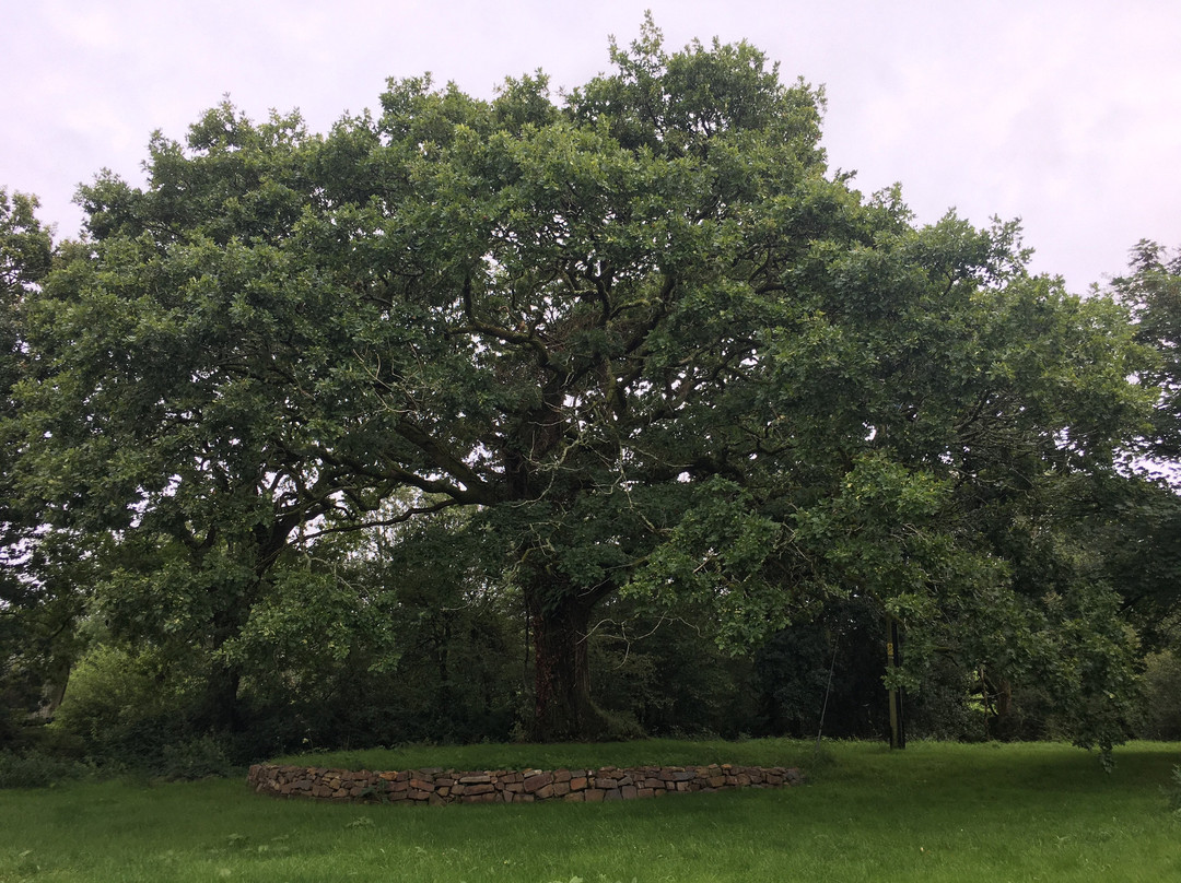 刈草农场酒店主图