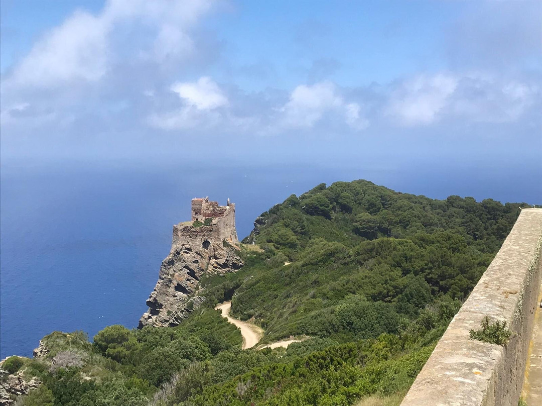 T.H.E. Toscana Hiking Experience-Castelfiorentino必去景点