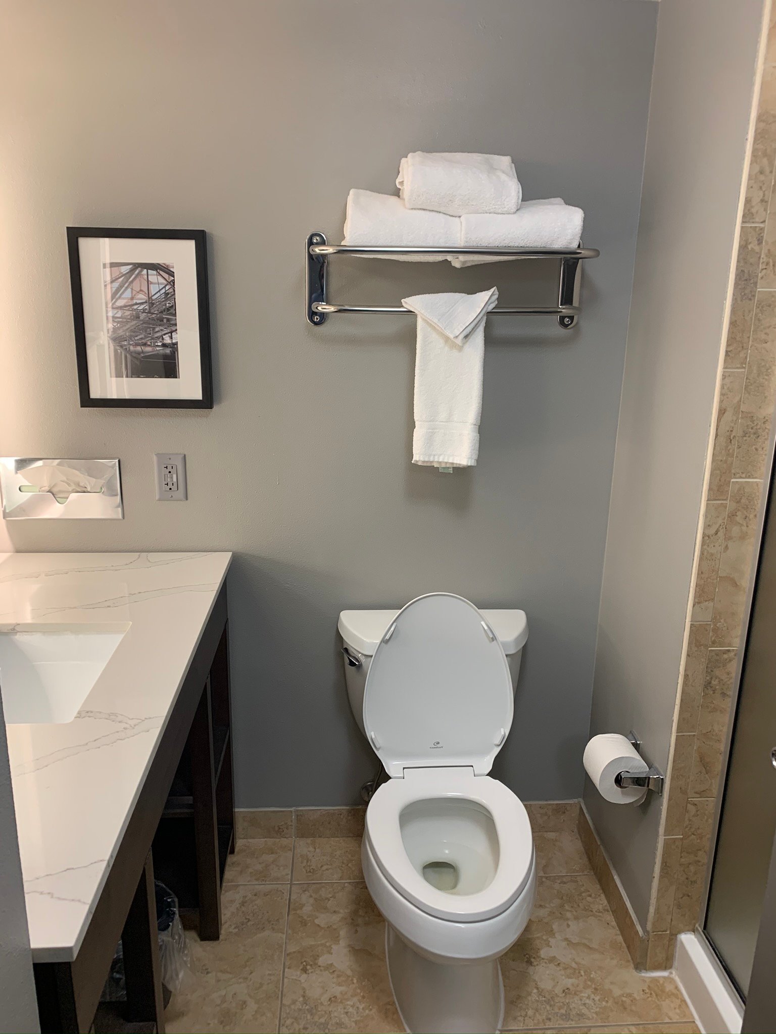 Holiday Inn Valdosta Conference Center By IHG-浴室