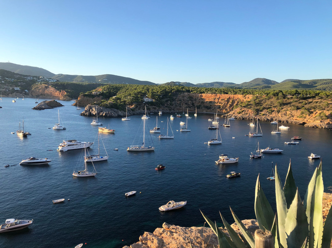 Hotel Las Brisas de Ibiza主图