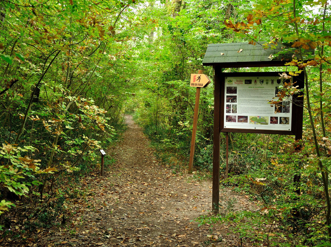 Castelfidardo旅游景点-Selva di Castelfidardo