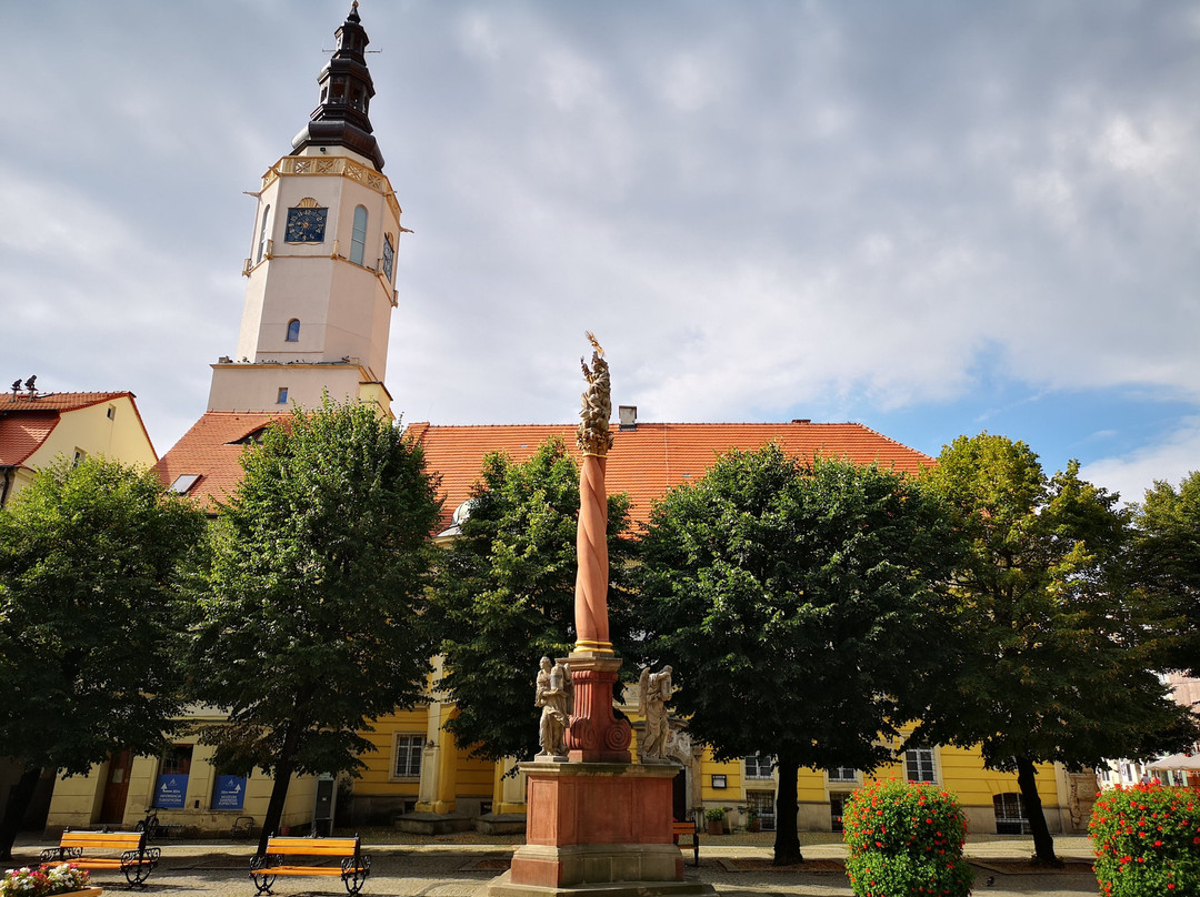 Town Hall, Swidnica (Ratusz w Swidnicy)-Swidnica必去景点