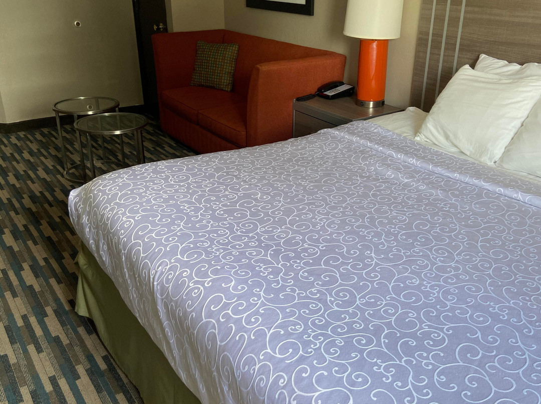 Best Western Edinburgh / Columbus主图