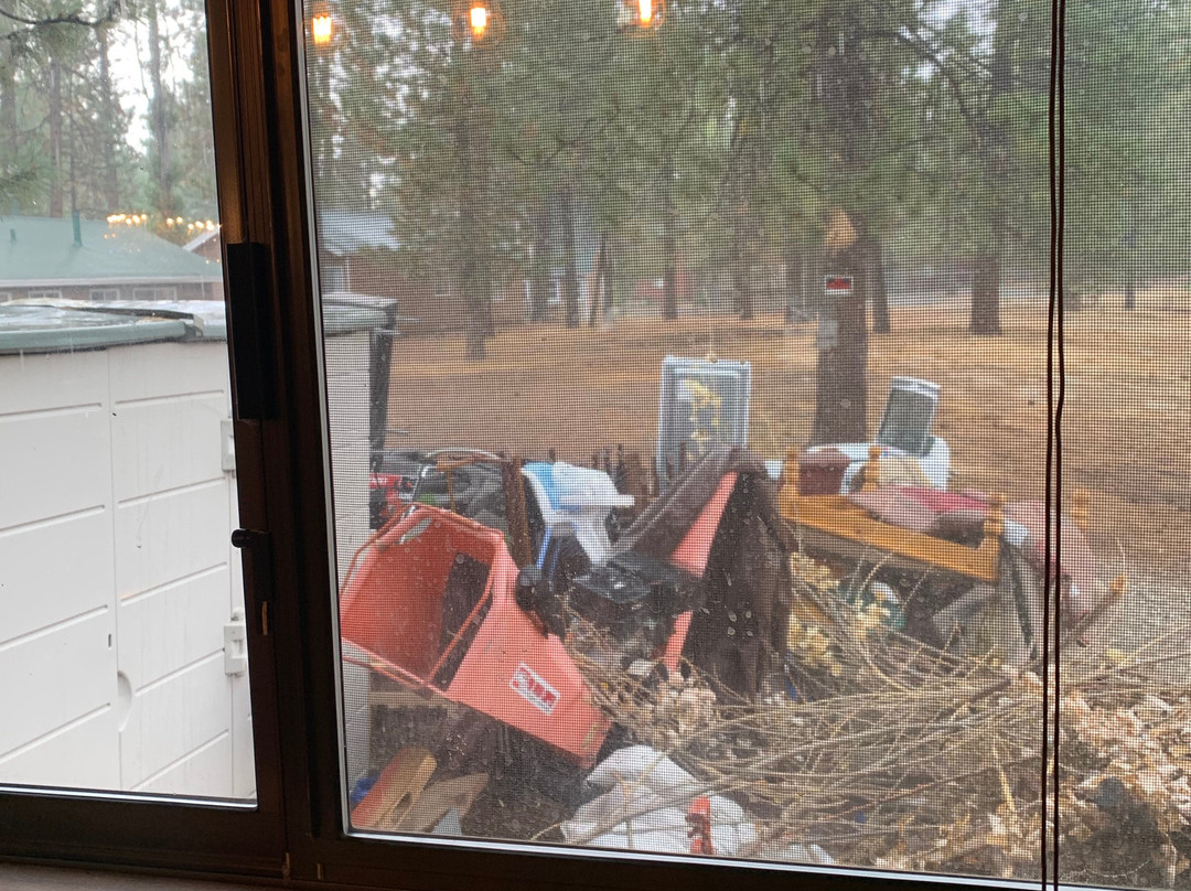 Grey Squirrel Resort主图