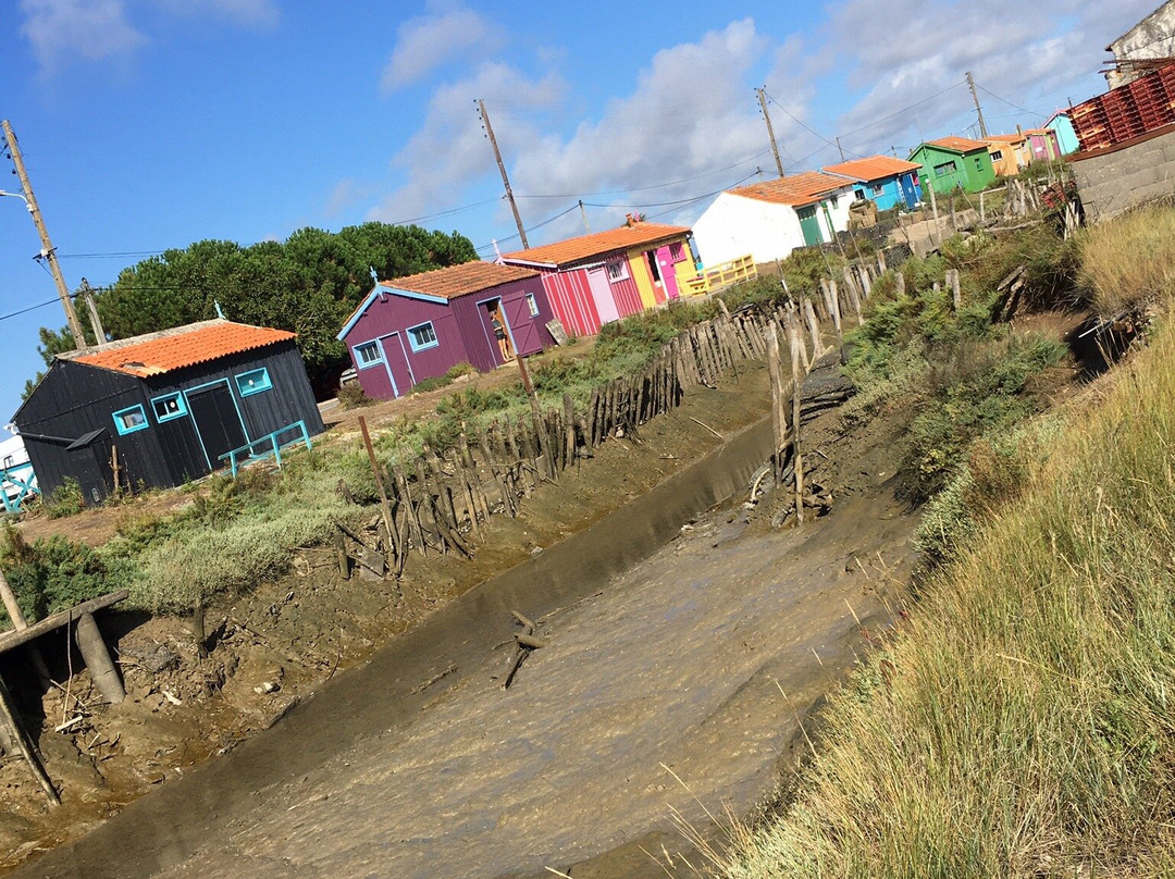 Les Cabanes de la Baudissière景点图片