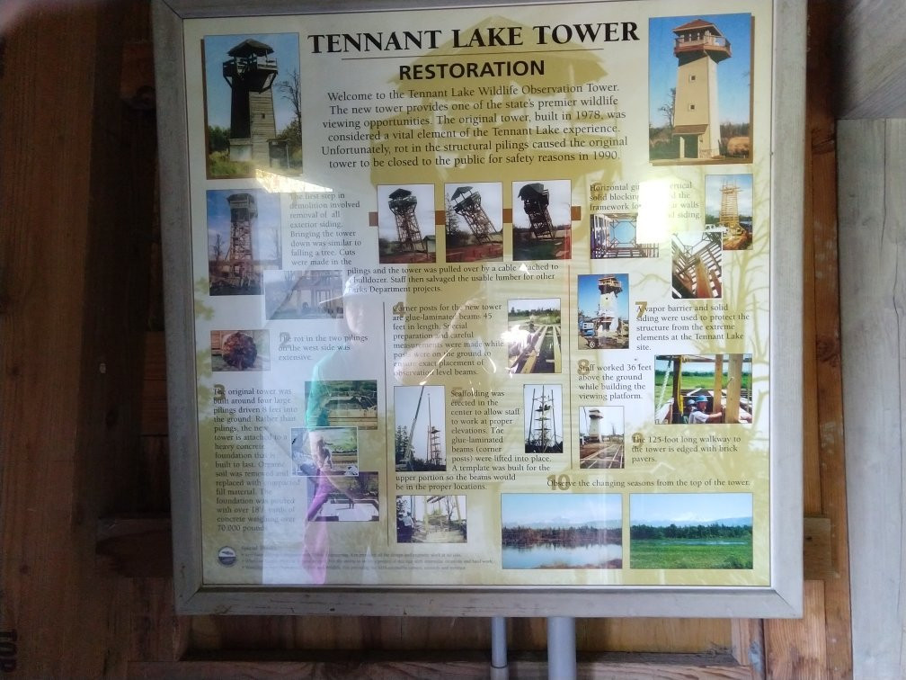 Tennant Lake Park景点图片