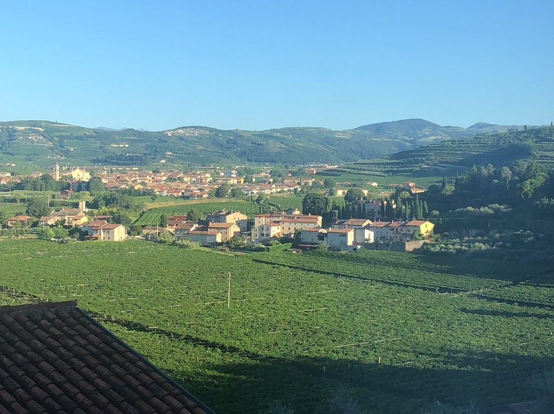 Sporting Hotel San Felice主图