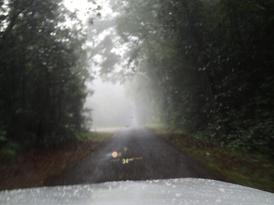 Tully Falls National Park-Ravenshoe必去景点