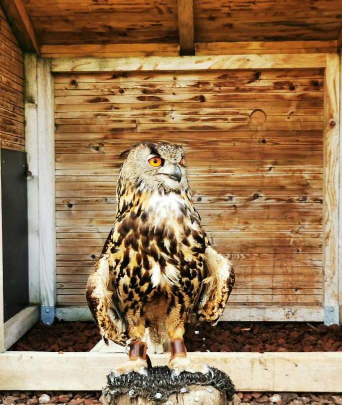 Parc Animalier du Herisson-Menetrux-en-Joux必去景点