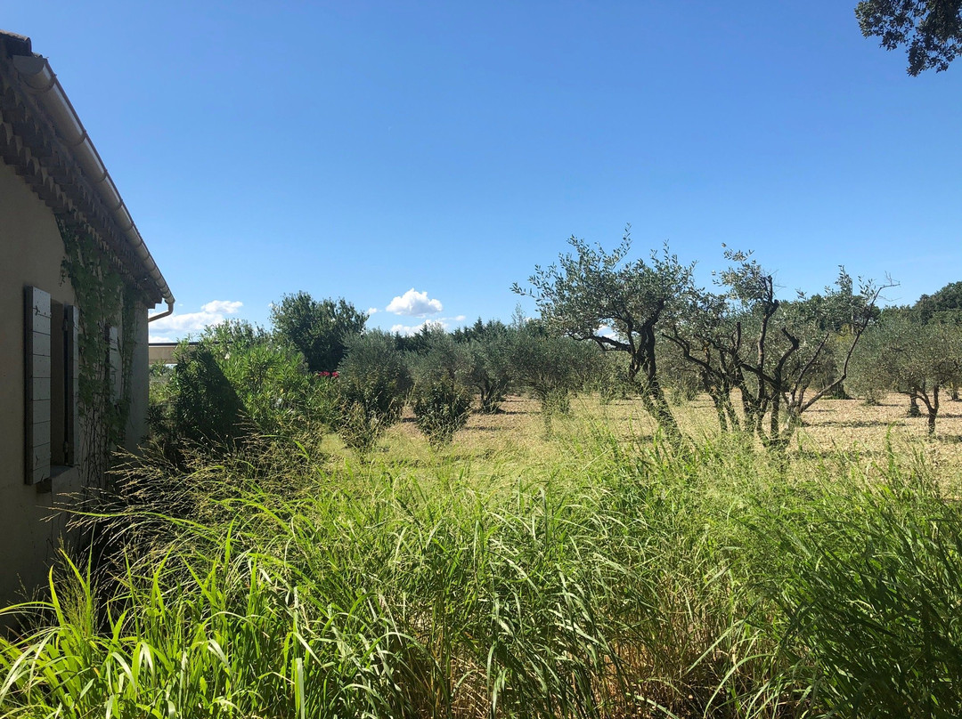 Les Champs de Provence主图