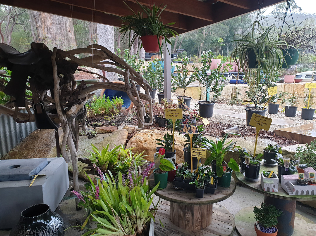 Saddles Garden Centre景点图片