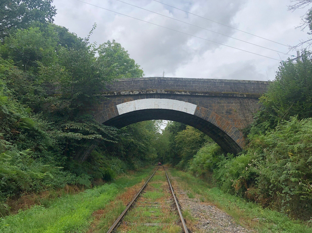 Pédalorail Electrique du Grand Pays de Salers-Ally必去景点