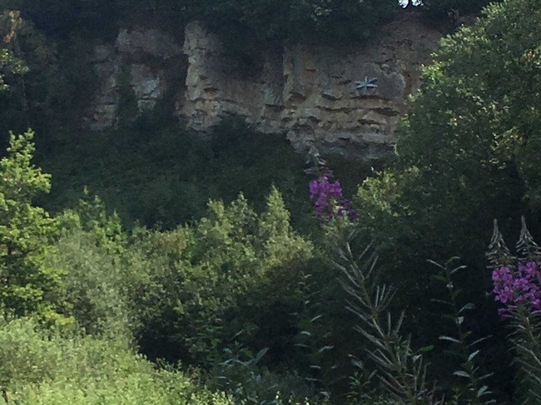 Saltwells National Nature Reserve景点图片