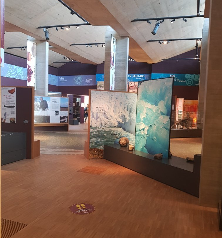Lincoln Museum And Usher Gallery景点图片