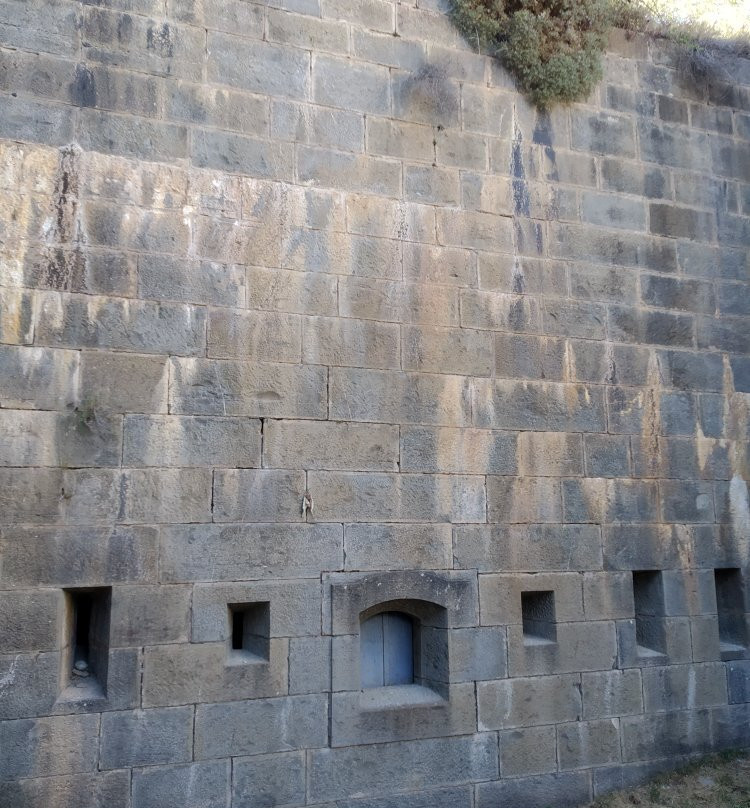 Fuerte de Rapitan景点图片