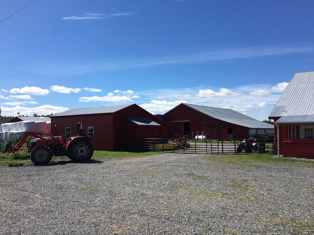 Lismore Sheep Farm Wool Shop景点图片
