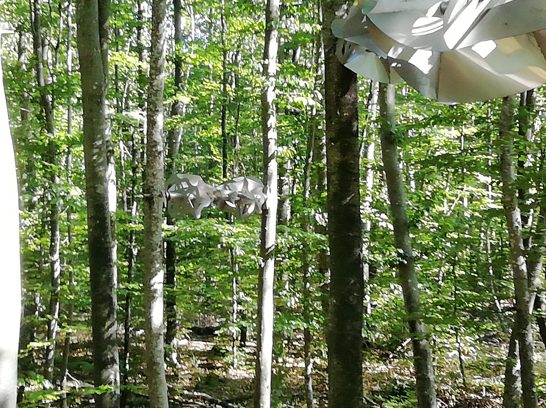 Vent des Forets-Fresnes-au-Mont必去景点